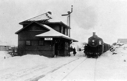 Field CN Station