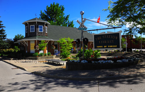 Forest Station Library