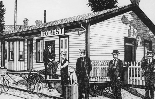 Forest GTR Station
