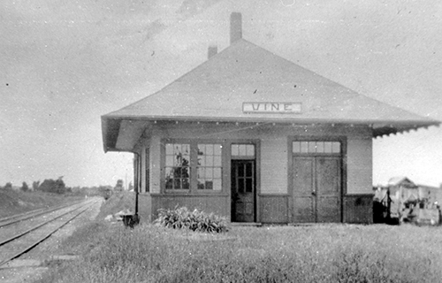 Vine CN Station